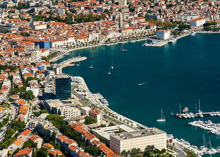 Levelup 스플리트